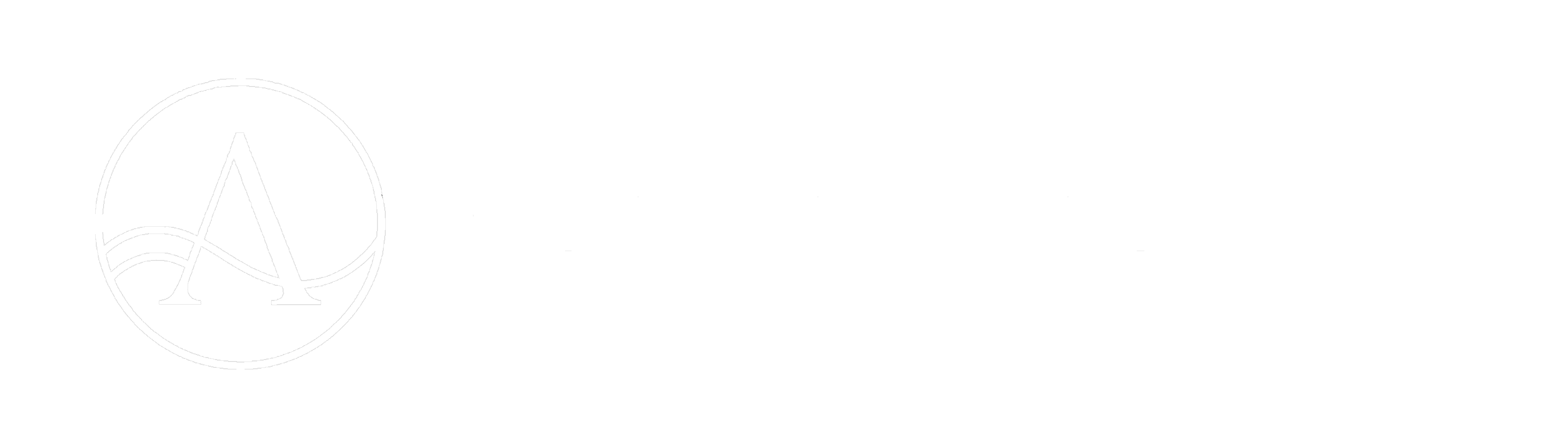 Tuan Anh Agent